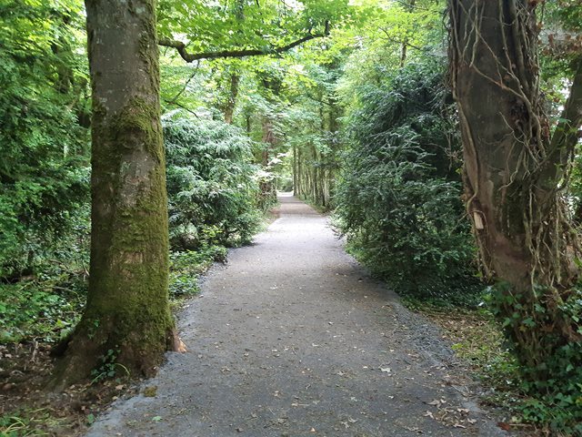 Tudenham Park Trail