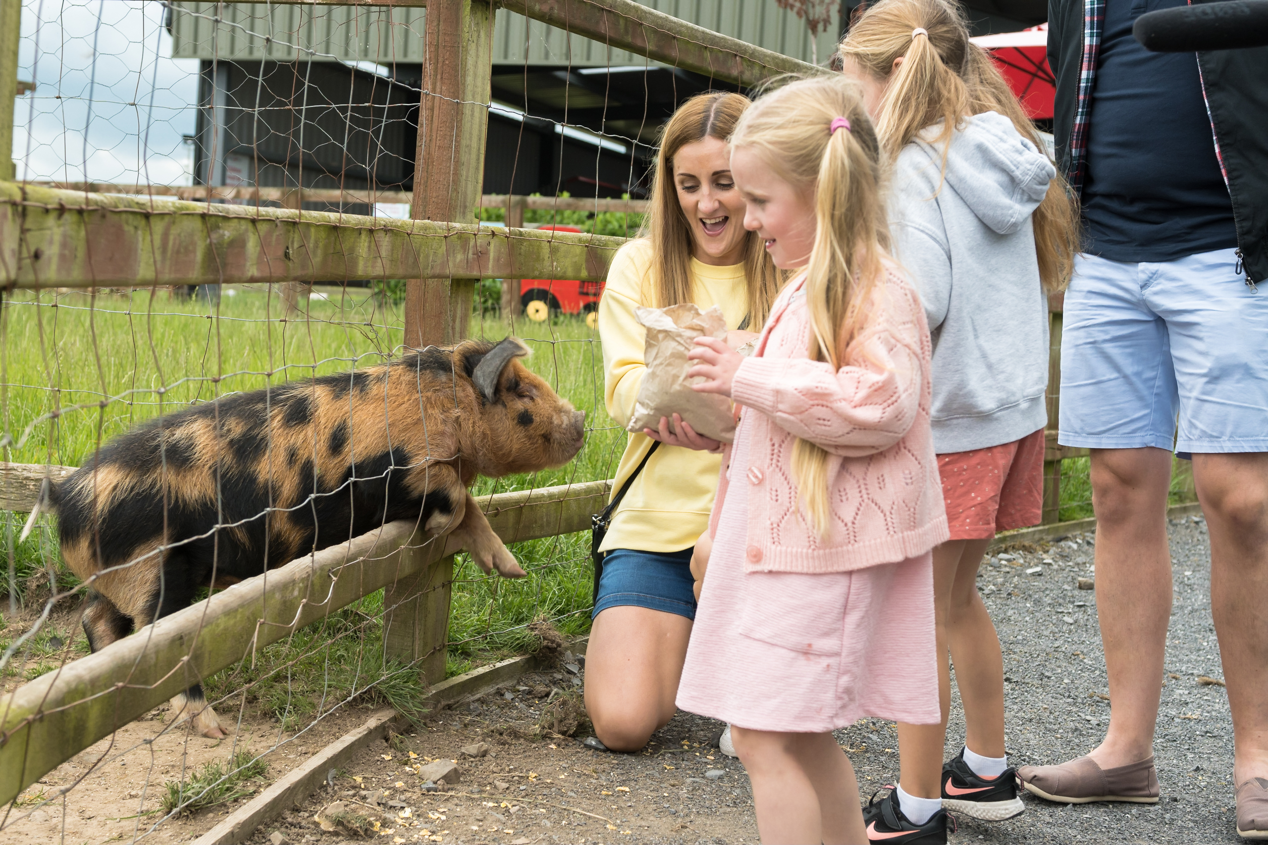 Mollie Moo's Pet Farm