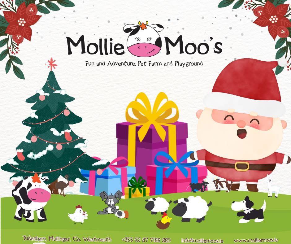 Santa at Mollie Moo's Pet Farm 