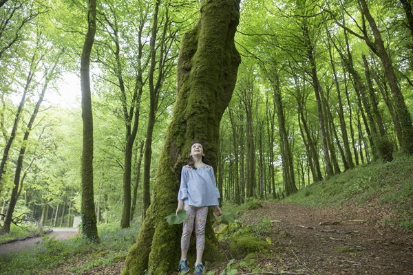 Mullaghmeen Forest Trails