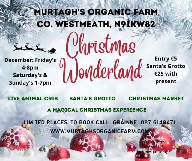 Christmas Wonderland at Murtagh's Organic Farm Fri, Sat & Sun's Dec 2022