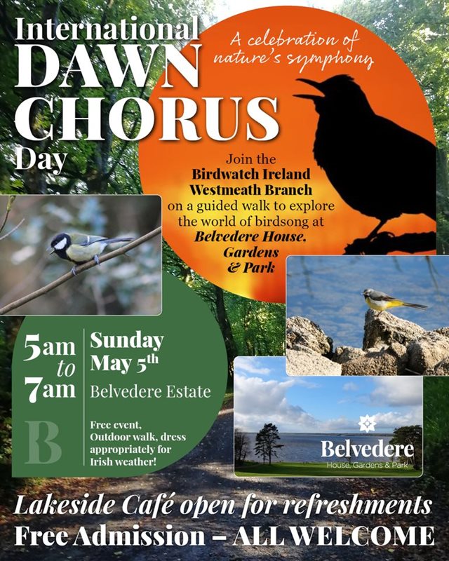 Dawn Chorus @ Belvedere House, Gardens & Park 5 May 2024