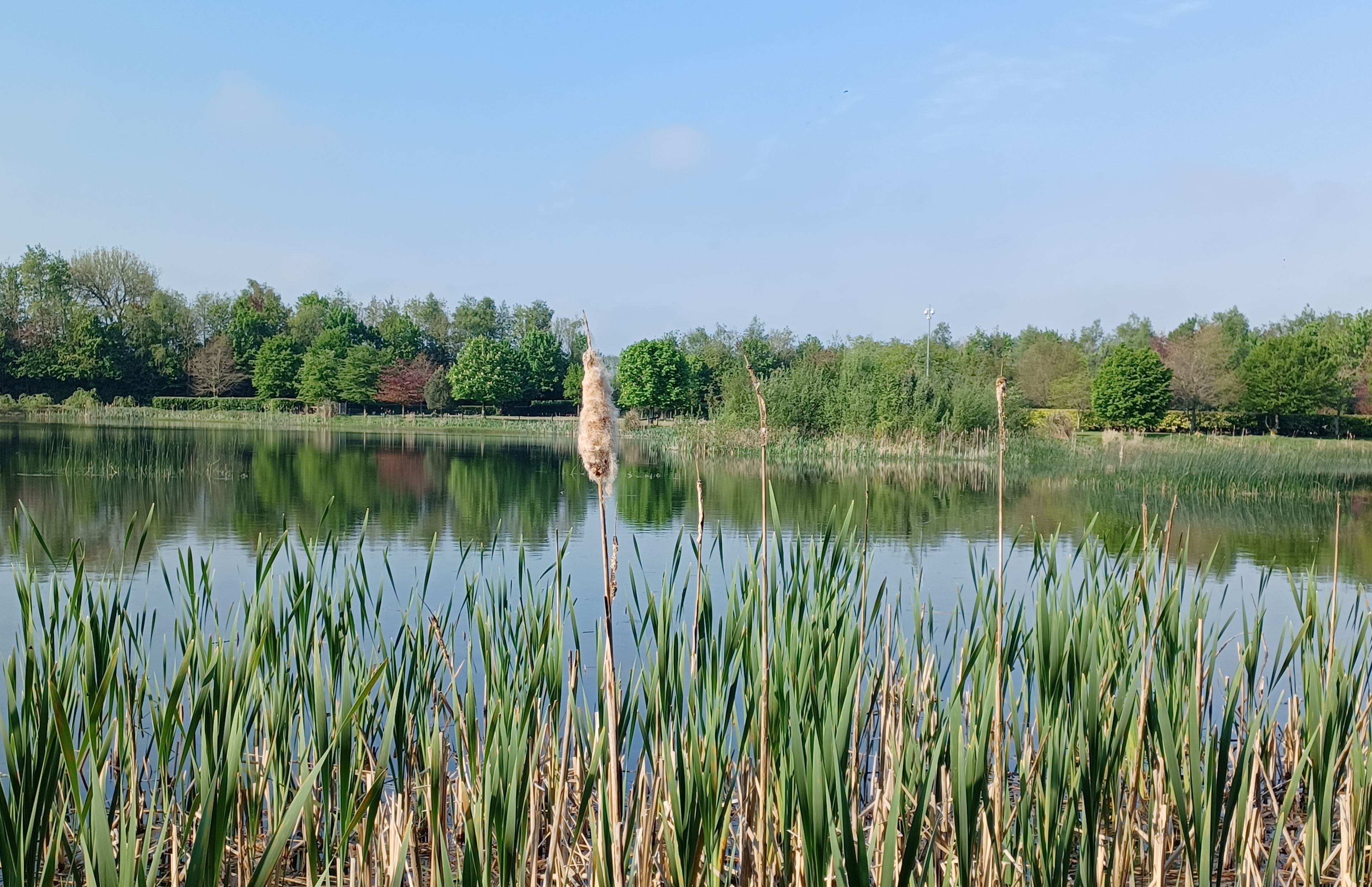 Derrymore Springs Trail