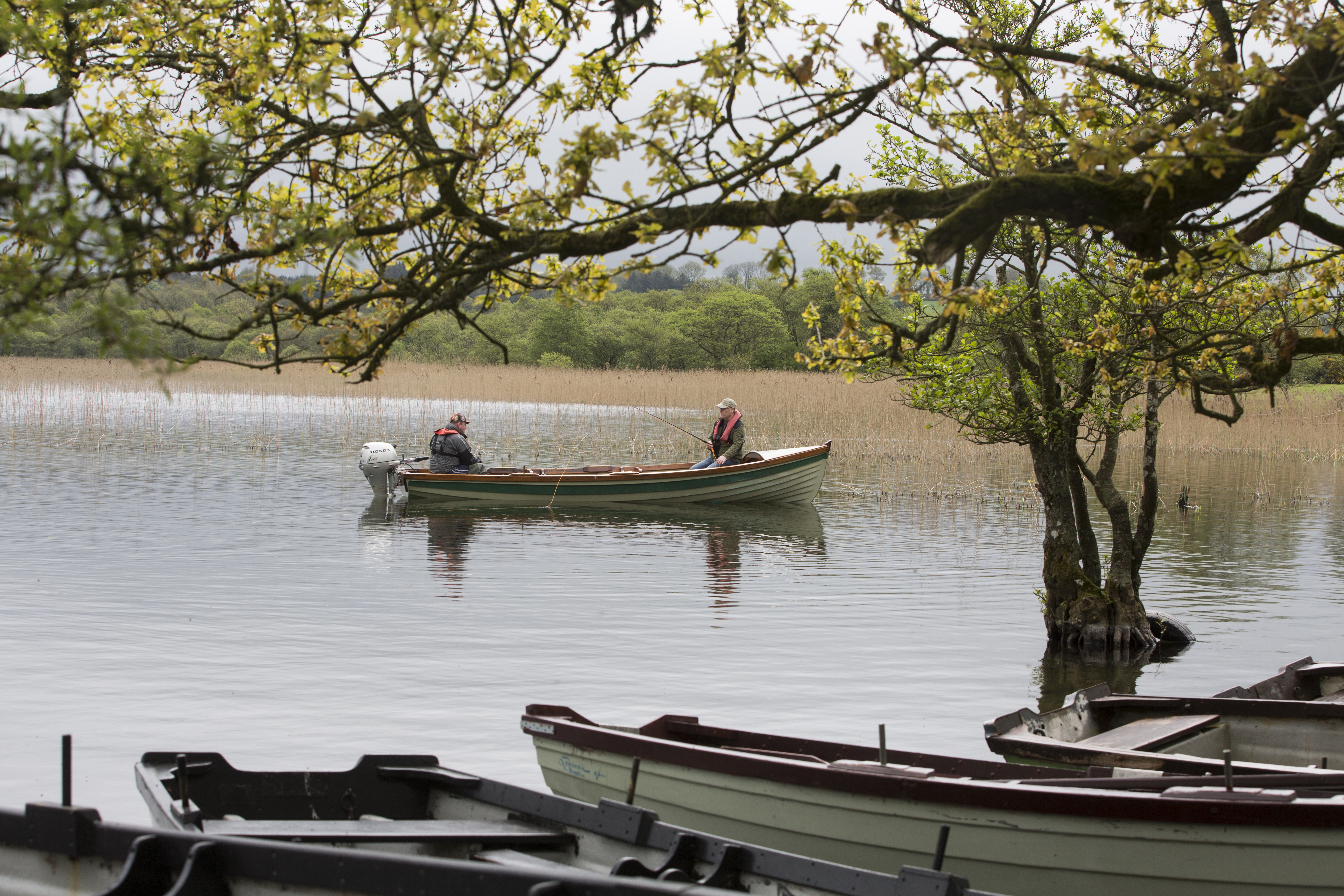 Lough Lene