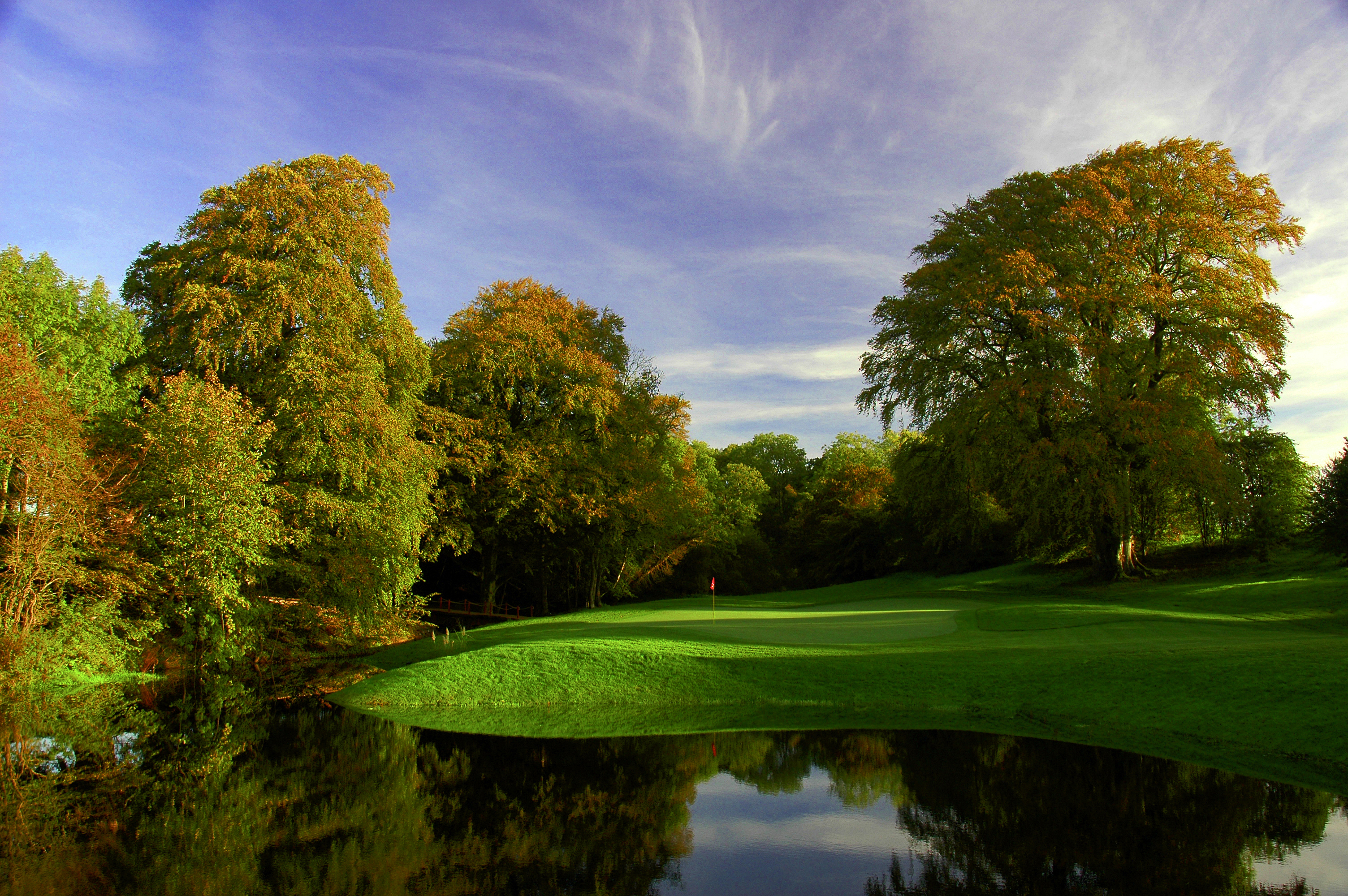 New Forest Golf Club