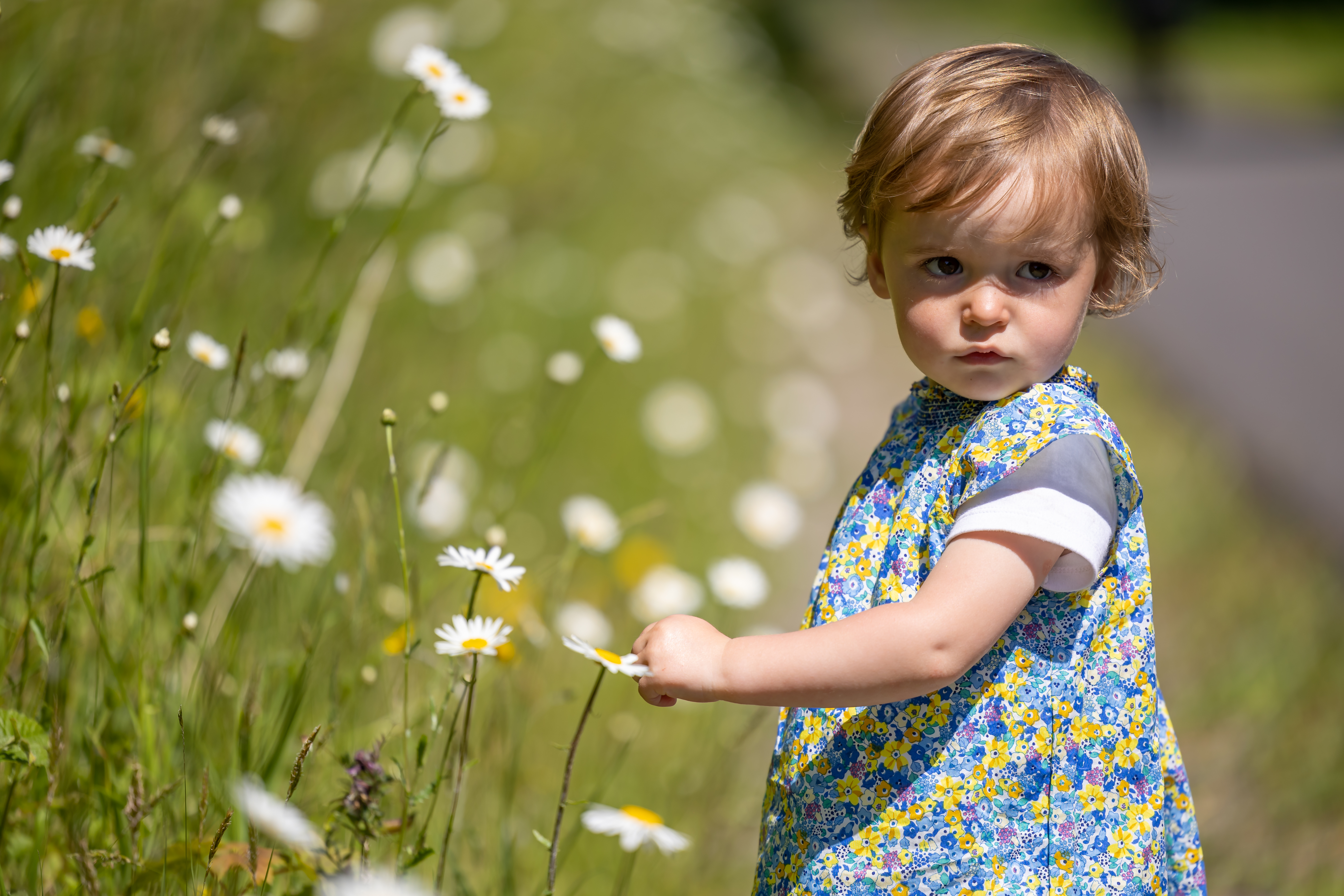 Bee Pollinator Trail Streamstown