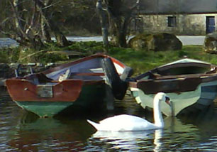 Lilliput Boat Hire