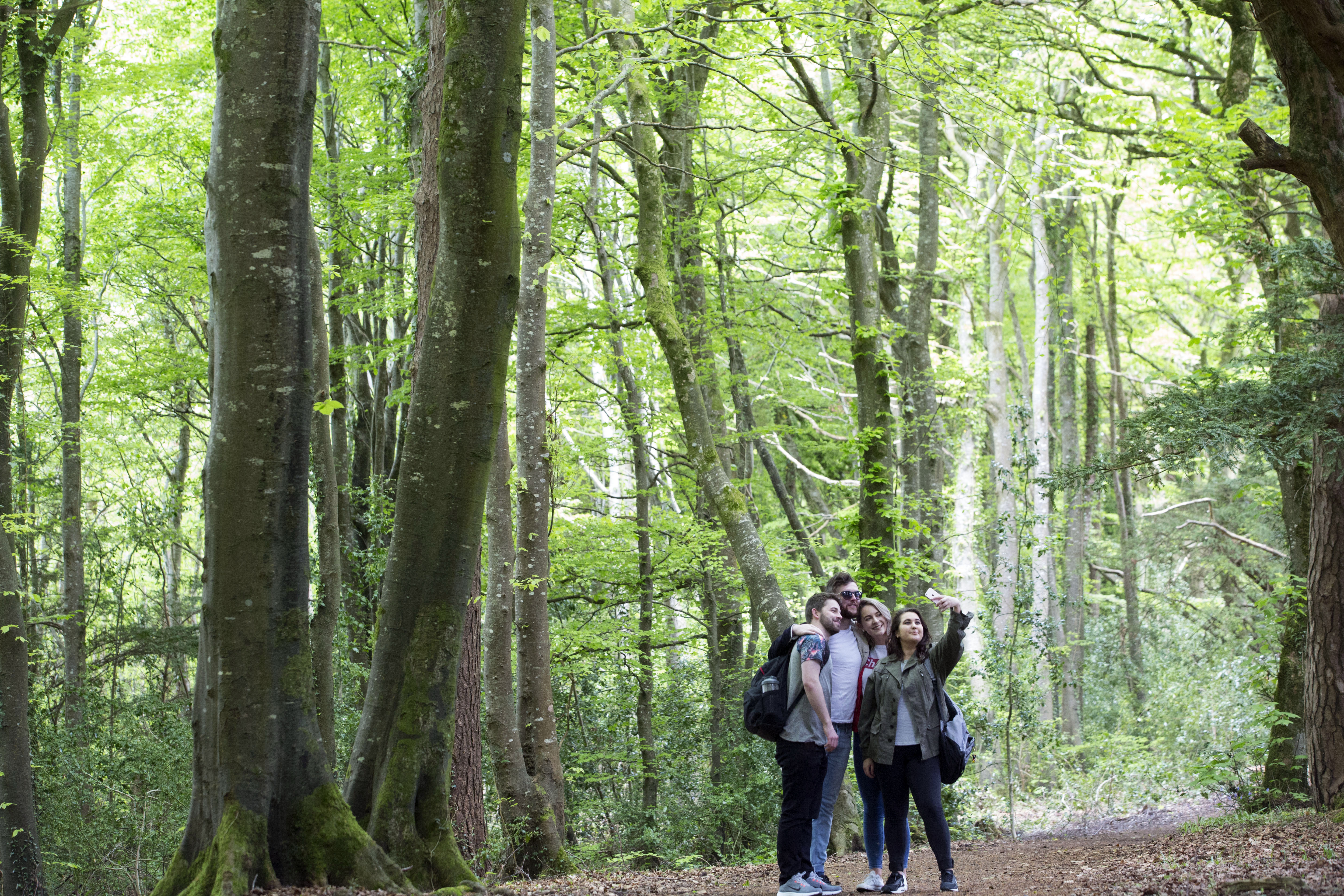 Woodland Walks at Belvedere House