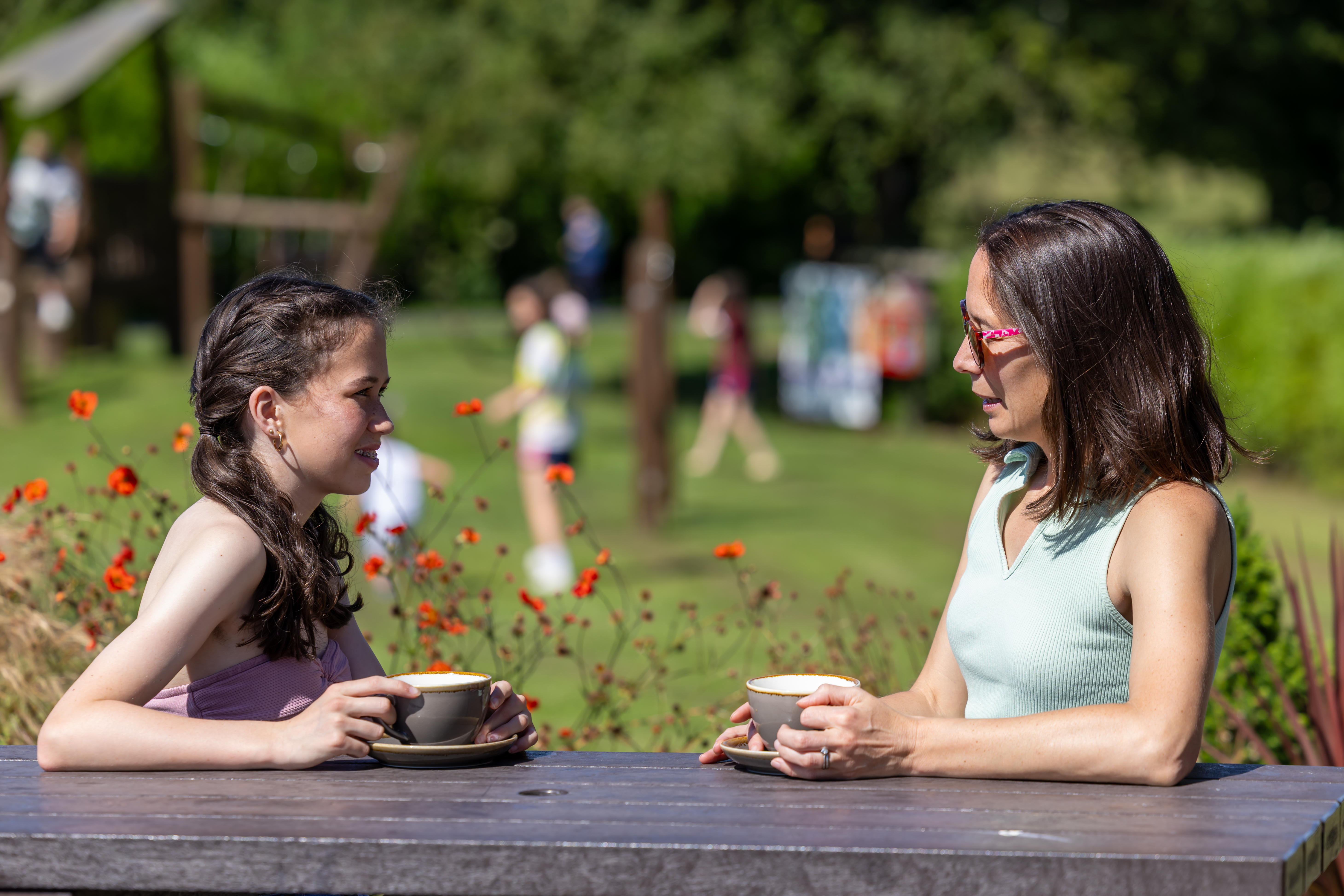 Dún na Sí Amenity and Heritage Park