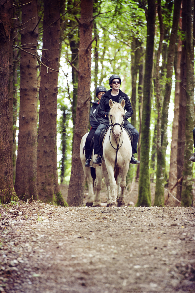 Things to do Westmeath, Visitor attractions in Midlands Ireland Visit