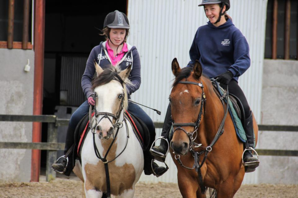 Mullingar Equestrian Centre