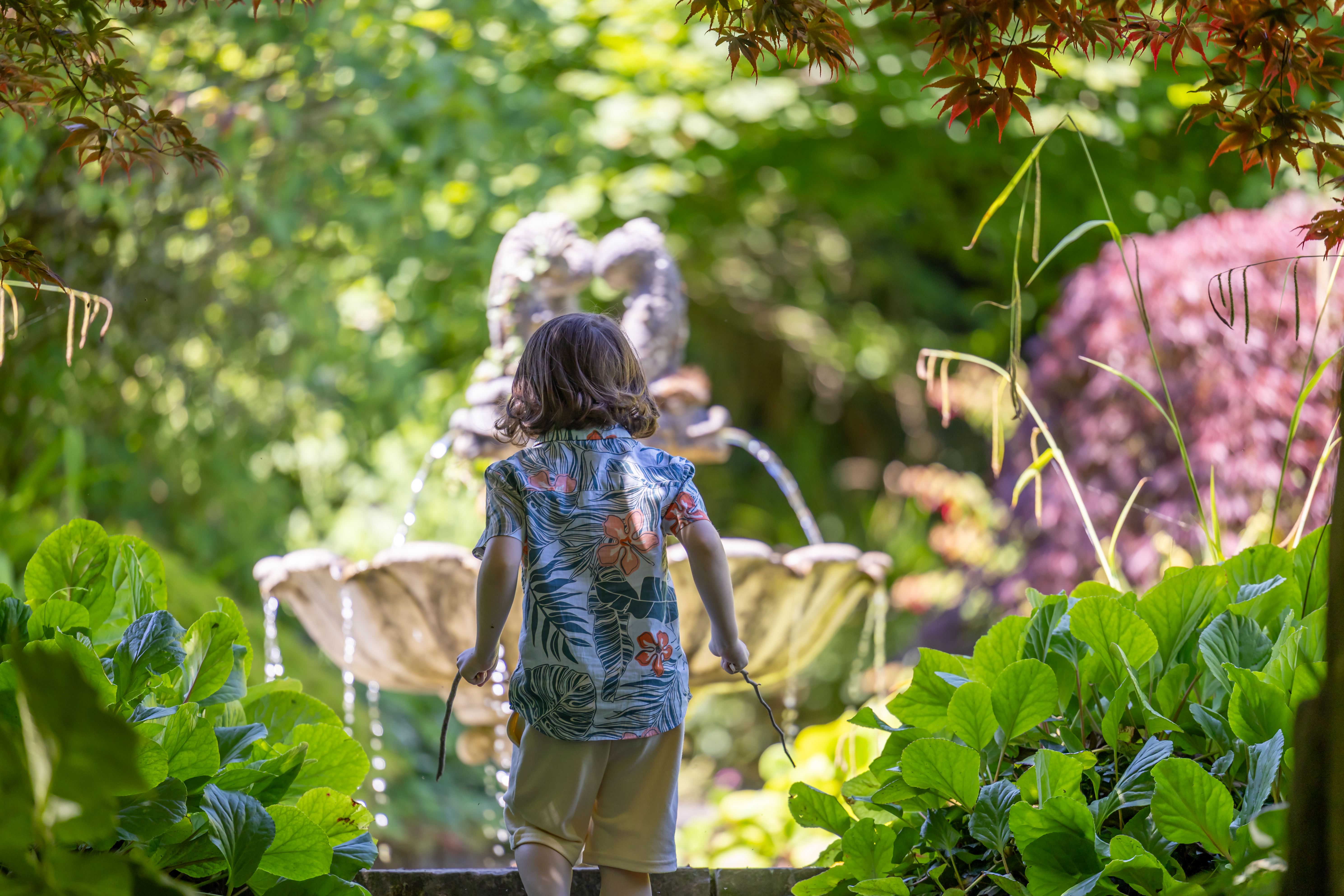 Belvedere House, Gardens and Park